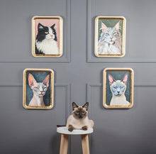 Load image into Gallery viewer, Gold-framed wall art featuring a Siamese cat portrait with blue eyes and pink-toned ears on a dark grey