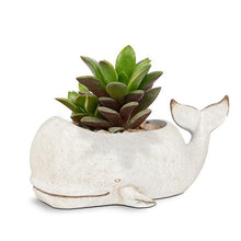 Load image into Gallery viewer, Seaside Whale Planter