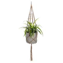 Load image into Gallery viewer, Molly Macramé Plant Hangers, Set of 5