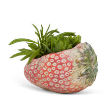 Load image into Gallery viewer, Strawberry Fields Planter