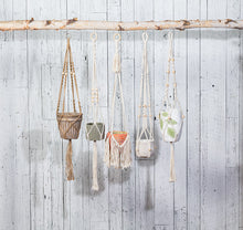 Load image into Gallery viewer, Molly Macramé Plant Hangers, Set of 5