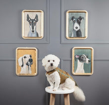 Load image into Gallery viewer, Gold-framed wall art featuring a painted long-eared dog portrait in grey and black on a warm neutral background
