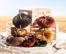 Load image into Gallery viewer, Set of four 10&quot; velvet pumpkins with resin stems in moss, rust, ochre, and taupe.
