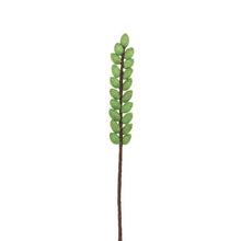 Load image into Gallery viewer, Leaf Stems, Set of 6
