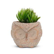 Load image into Gallery viewer, Whimsical Owl Planter
