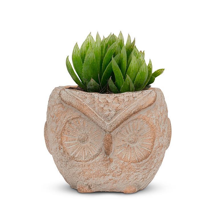 Whimsical Owl Planter