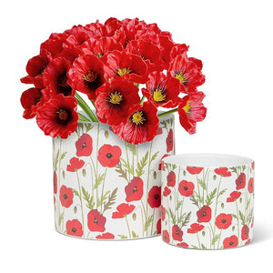 Poppy Bloom Planter