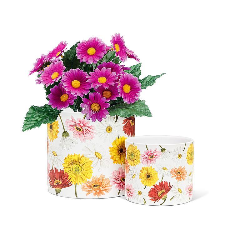 Sunshine Daisy Planter