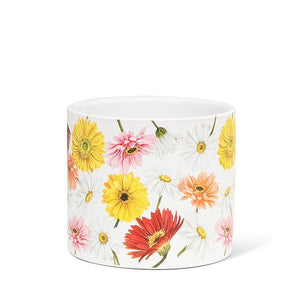 Sunshine Daisy Planter