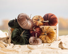 Load image into Gallery viewer, Elegant Velvet Pumpkins, Set of 4
