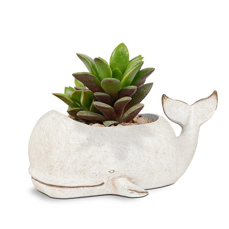 narwhal succulent planter Whale Planter | Nautical Resin Planter