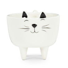 Load image into Gallery viewer, Simba Planter
