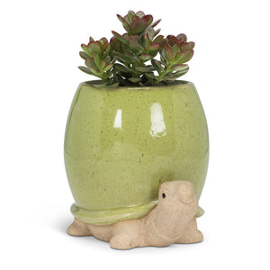 Pokey Planter